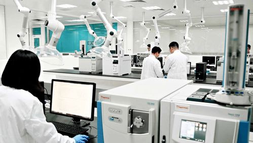 科技赋能食安与能源创新 康师傅的双重战略布局解析