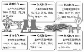 新兴能源产业 企业发展战略与技术创新前景